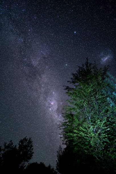 istock starry landscape in the middle of a forest 1305093484