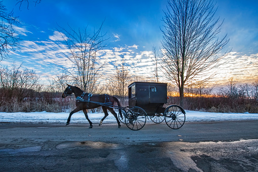 Amish Buggy in Winter on Rural Indiana Road at Dusk