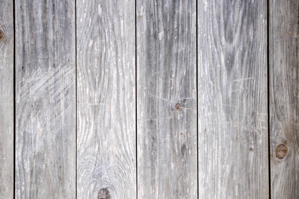 istock Graphic elements photographed in the studio with natural light well for background 1305107823