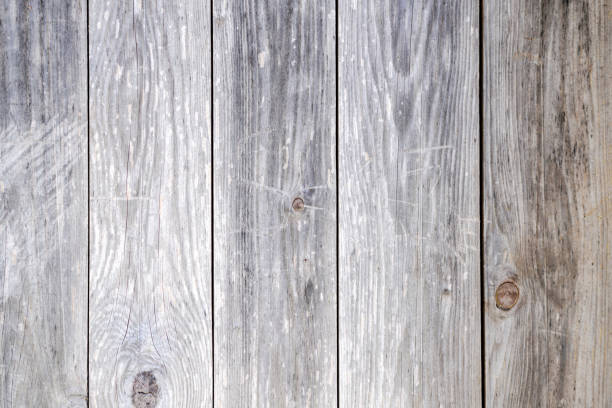 istock Graphic elements photographed in the studio with natural light well for background 1305107990