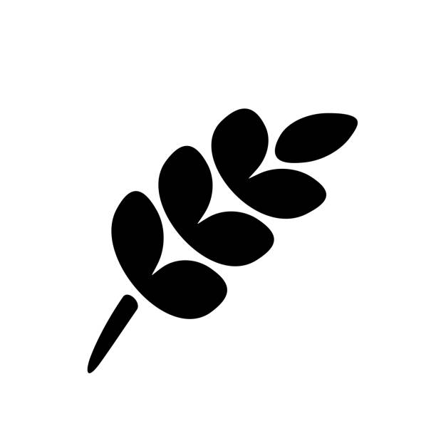 ilustraciones, imágenes clip art, dibujos animados e iconos de stock de logotipo de trigo negro panadería signo icono vector ilustración vector - avena