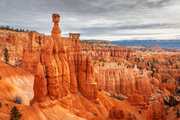 istock Bryce Canyon National Park, Utah, USA at Thor's Hammer 1305110184