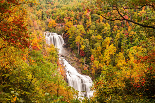 istock Whitewater Falls, North Carolina, USA 1305110404
