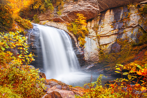 Large waterfall flowing over rocks into river framed by lush golden foliage in soft warm light. Shot in Tennessee, USA.