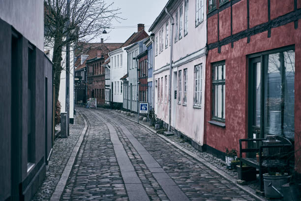 istock Old charming houses in town 1305111294