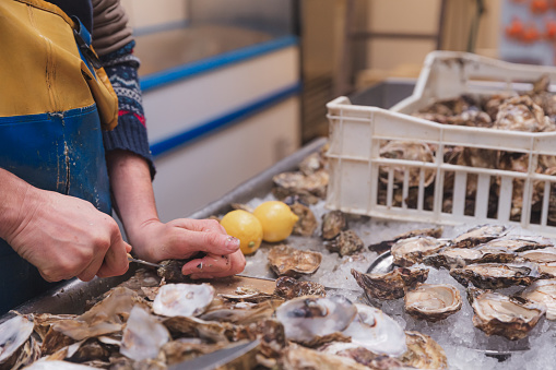Close-up of a seafood vendor or fishmonger shucking fresh Atlantic oysters on the Isle of Skye, in the Scottish Isles of Scotland, UK.