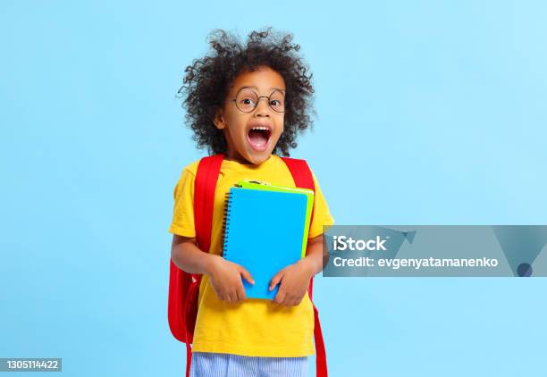 Excited Schoolkid With Opened Mouth Standing In Studio With Copybooks In Hands Stock Photo - Download Image Now