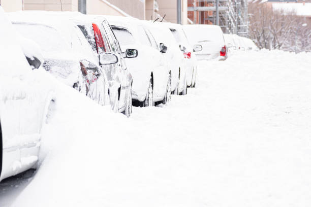 istock Row of cars covered in bright white snow 1305116624