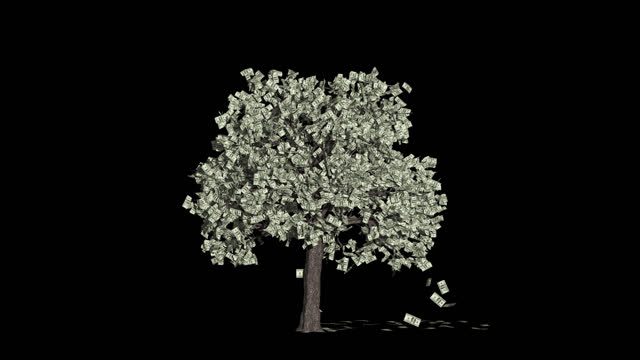 Dollar Currency Tree Time lapse Growing With Leaves Falling, Business Concept, Alpha Channel
