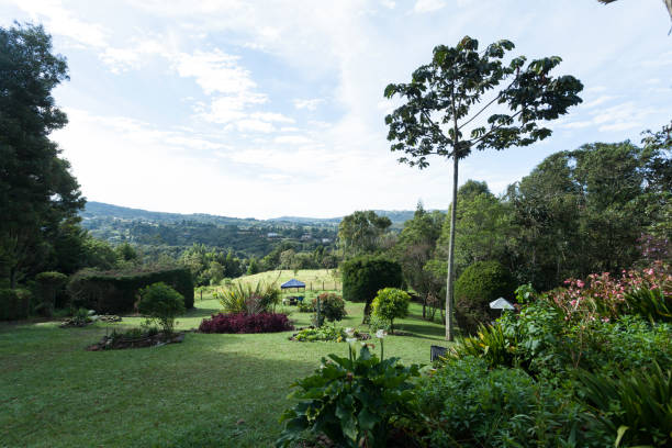istock Beautiful natural landscape; Green field and blue sky. 1305118724