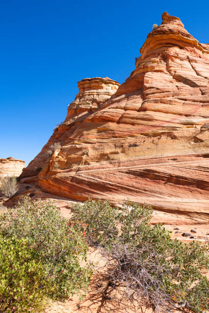 istock Coyote Buttes South 1305122300