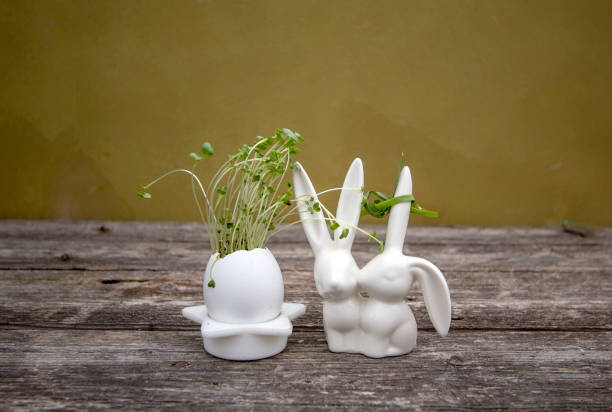 istock sprouts of broccoli cabbage in eggshell. Superfood. Proper nutrition. 1305124791