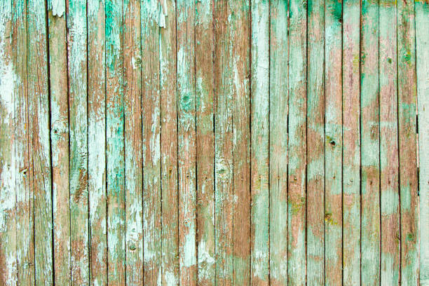 istock Wooden face with old dry and cracked paint background and texture 1305125301