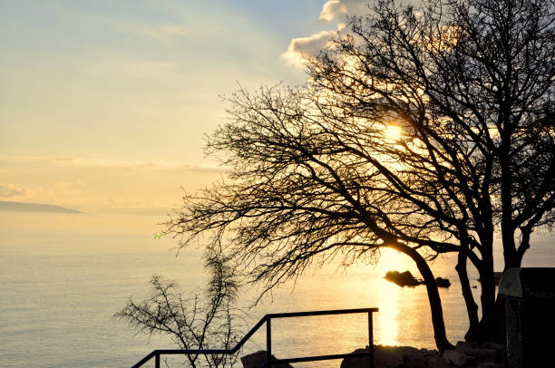 Golden hour on Kostrena bay with tree silhouette, Croatia