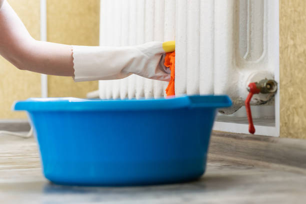 Home cleaning. stock photo