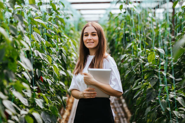 Young women using a tablet to examine peppers and their growth