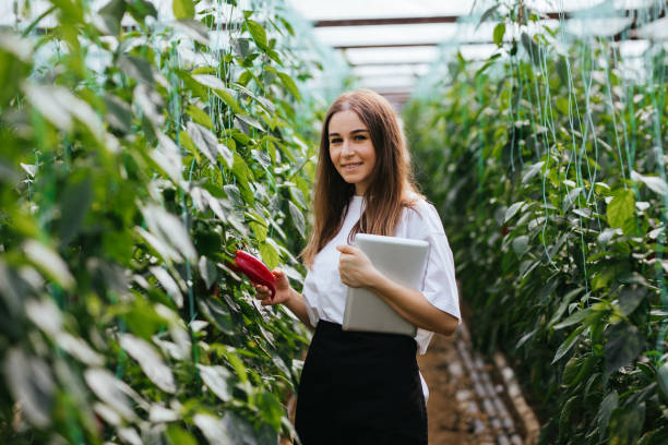 istock Young women using a tablet to examine peppers and their growth 1305136901