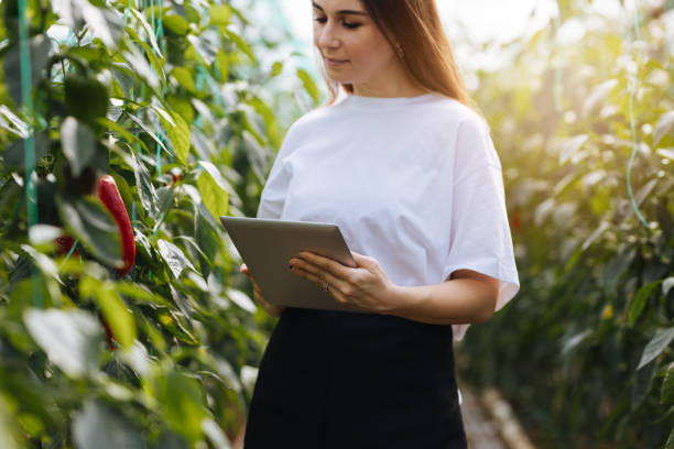 istock Young women using a tablet to examine peppers and their growth 1305137301