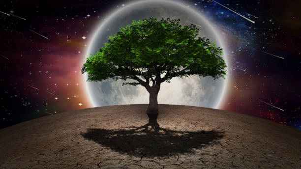 istock Green tree of Life 1305137474