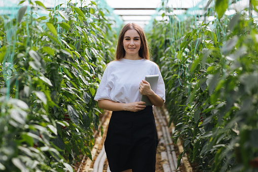 Young farmer women using digital tablet examining the growth of plants in the greenhouse farm