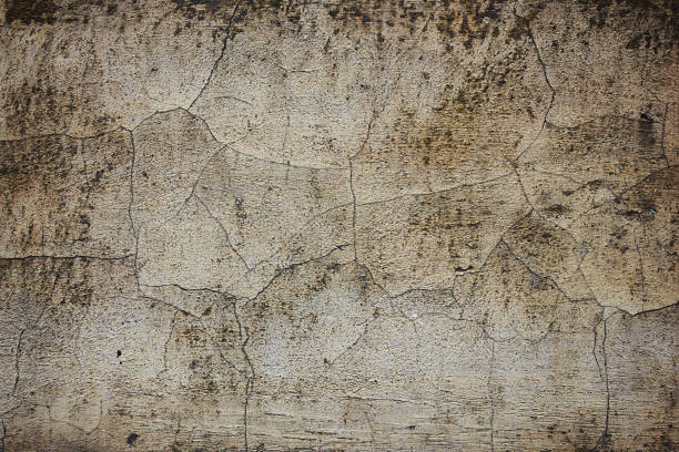 istock texture of an old gray concrete wall 1305141524