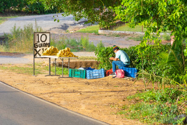 Panama David March 2, a banana seller waits for customers by displaying fruit on a roadside stall. Shoot on March 2, 2021