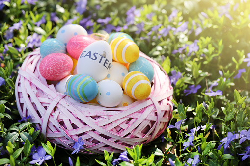 Easter holiday.Pink wicker nest with easter decorative eggs in purple spring flowers.Easter eggs in a basket in the garden.Spring Religious Holiday Symbol. festive easter background