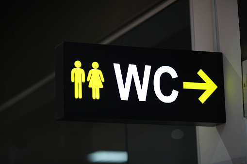 Toilet icons set. Men and women WC signs for restroom.Sign on a toilet ,on modern background.Toilet sign - Restroom