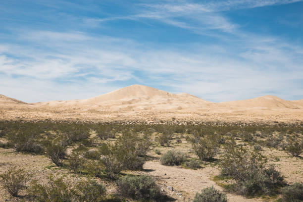 istock Kelso Dunes in Mojave National Preserve, California 1305150882