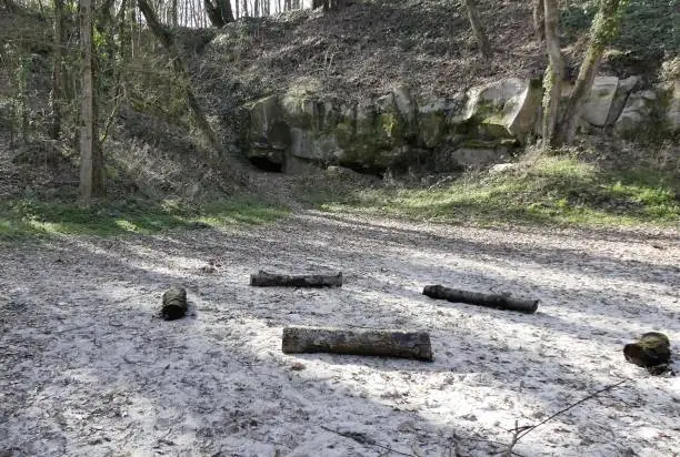 Logs placed in a circle in a sandstone quarry in Essonne in the Paris region near Orsay