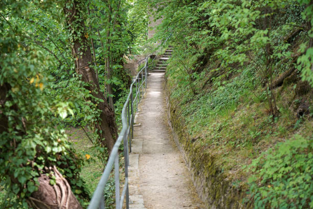 istock Artificially created park in Germany Bavaria for recreation 1305159285