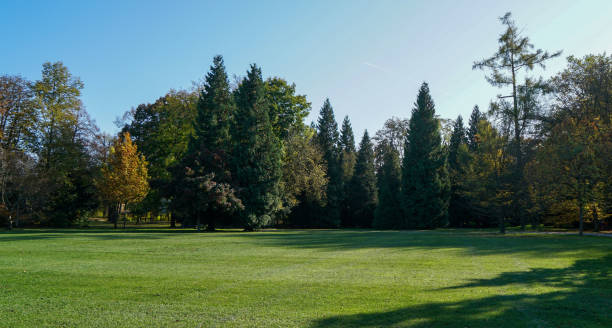 istock Artificially created park in Germany Bavaria for recreation 1305160298