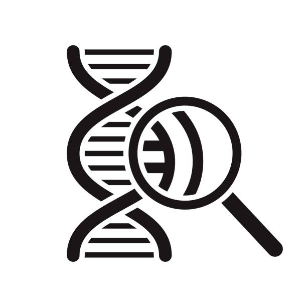 DNA Research Glyph Icon A black glyph icon on a transparent background. You can place onto any coloured background (no white box behind icon). File is built in CMYK for optimal printing with a 100% black fill. genetics icon stock illustrations