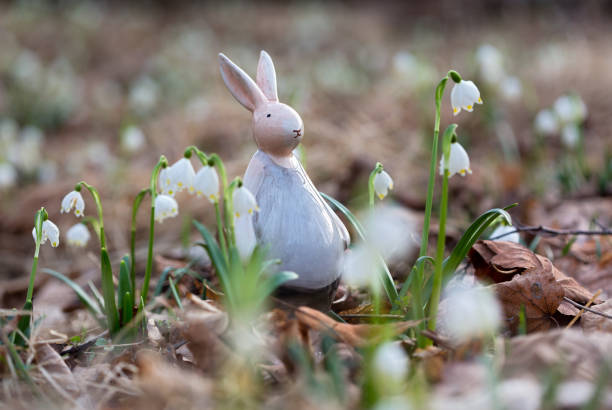 охрана природы пасхальный кролик - easter egg figurine easter holiday стоковые фото и изображения