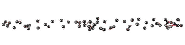 istock Elderberries isolated on a white background, top view. Healing product. 1305165566