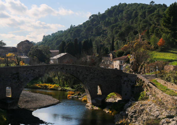 istock Old stone bridge in France 1305170728