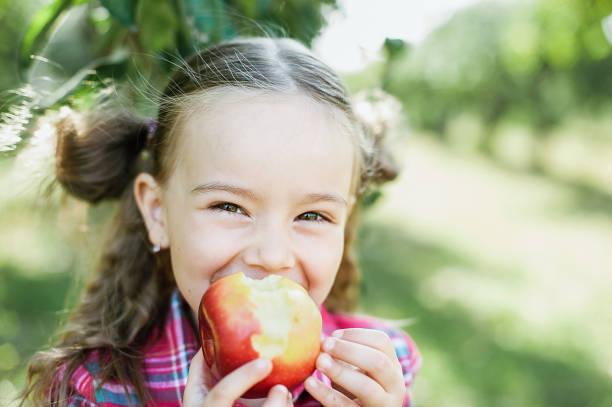 istock Girl with Apple in the Apple Orchard 1305172976