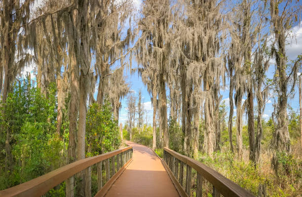 istock Beautiful and natural Georgian Park 1305173979