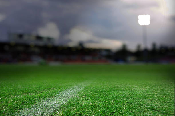 istock Close-up of soccer field 1305174401