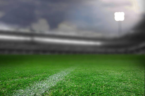 istock Close-up of soccer field 1305174606