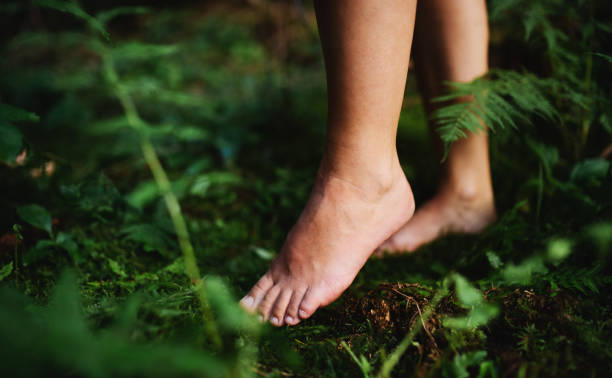 เท้าเปล่าของผู้หญิงยืนเท้าเปล่ากลางแจ้งในธรรมชาติแนวคิดสายดิน - forest bathing ภาพสต็อก ภาพถ่ายและรูปภาพปลอดค่าลิขสิทธิ์