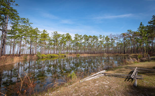 istock Beautiful and natural Georgian Park 1305178471