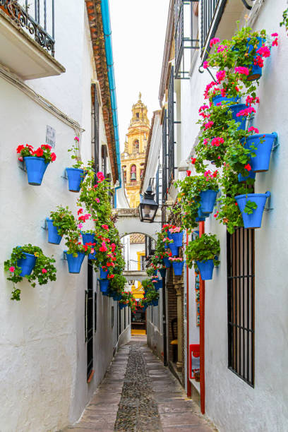 コルドバのメスキータを見下ろす旧ユダヤ人地区のカレハ・デ・ラス・フローレスの青い植木鉢 - street tower town andalusia ストックフォトと画像