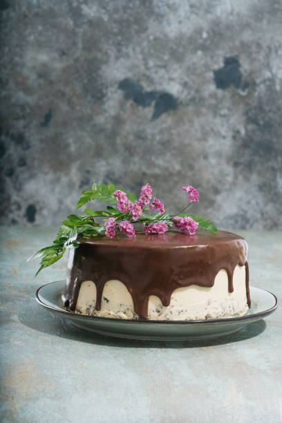 istock Homemade chocolate cake with peanut butter cream layers 1305179005
