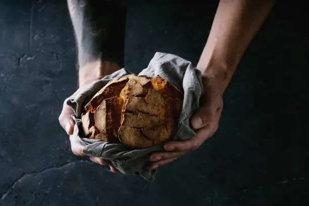 Traditional Portuguese bread Broa de Milho in male hands on dark background.