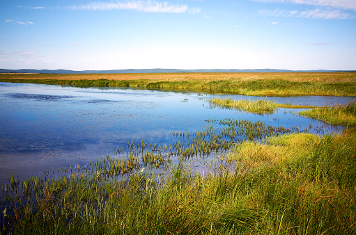 Lake surrounded by green yellow autumn lush grass and blue sky, Sakhalin island