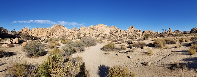 Panoramic view of Hidden Valley Nature Trail in Joshua Tree National Park, CA