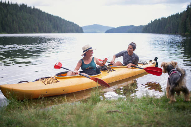 A shot of a friends having fun and kayaking during the day in a beautiful lake, while treir little dog waiting for them on the coast.