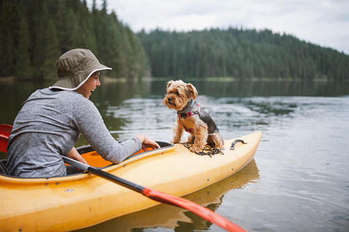 A shot of an young beautiful woman kayaking and having fun with her cute little dog.