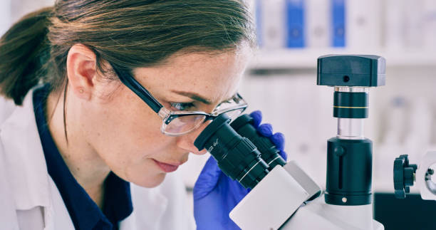 istock Curiosity is a fundamental characteristic of a scientist 1305194624